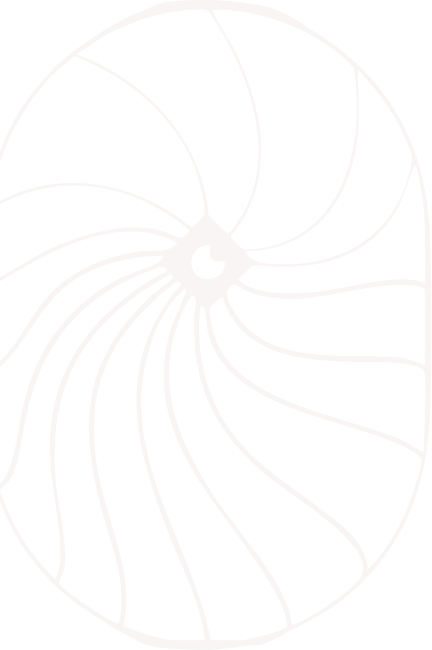 Vector